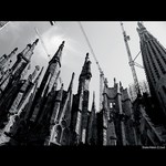 La Sagrada Familia II.