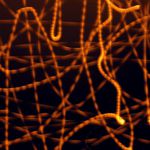 Nocni hratky svetel II.