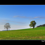 Jeden veselej a druhej smutnej