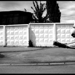 Taková normální "konina"