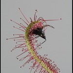 Kdo si počká, ten se dočká.