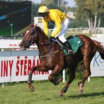 z Velké pardubické