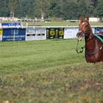 Není důležité vyhrát...