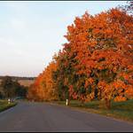 CESTOU-NECESTOU V BARVÁCH PODZIMU