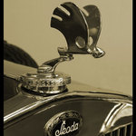 Das ist ein Skoda Auto, oder?