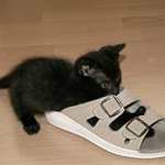 Ak sa so mnou nebudeš hrať,nevrátim ti papučku!