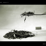 //* <b> BON APETIT (2/3) </b>