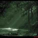 Mlhosvětlo právě teklo! :))