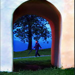 Žlutý pes přede mnou, radujme se ...