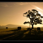 vzpomínka na léto....