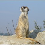 kukam, jak ten cas leti...