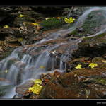 Podzim u Vysokého vodopádu v Jeseníkách