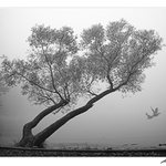 Říjnové imprese III.