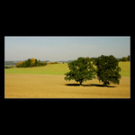 Ve dvou se to lépe roste