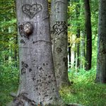 Kdeže dávné lásky jsou....