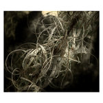 <b>:.SLOŽITÉ ŽIVOTNÍ PERIPETIE.: