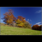 Živé barvy přírody