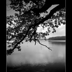 Proč by podzim musel být barevný?:-) II.