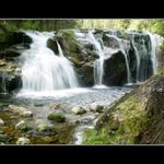 Cestou na pramen Labe