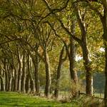 Cesta do elfí Roklinky