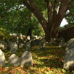 Starý židovský hřbitov