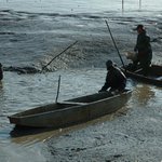 Výlov Turoveckého rybníka