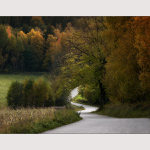 Barevna paleta podzimu