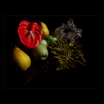 <u>***DARY_PODZIMU***</U><B>