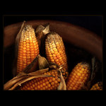 ***SUCHÉ KUKUŘIČKY***