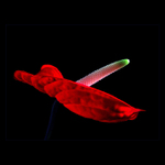 <u>***SVŮDNÁ***</U><B>