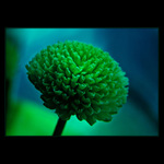 <u>***TICHÉ_SNĚNÍ***</U><B>