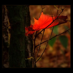 <u>***POSLEDNÍ***</U><B>