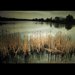 Mutěnický rybník II.