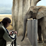 jak dlouho ještě mám čekat ?