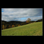 Jizerky - pod Bukovou