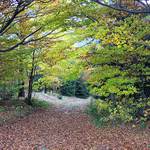 ....podzim volá....fototuristo vejdi....