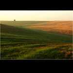 mlžné ráno v Nížkově