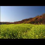 ...podzimní kontrasty