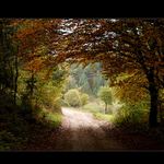 <B> .: autumn window :. </B>