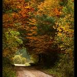 <B> .: autumn window II :. </B>