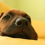 "Cítim človečinu"