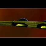 kapičky trochu jinak...