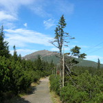 hora z nejvyšších