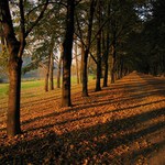 Podzimní podvečer u Vltavy