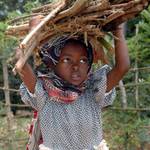 Děvčátko se dřevem