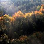 Kam jen oko dohlédne