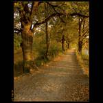 ..:: zlAtÁ cestA ::..