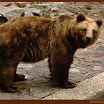 Ja som vedel ze si tu kavu nemam davat