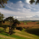 Devon Country