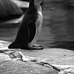 -= takto sa mám postaviť? =-